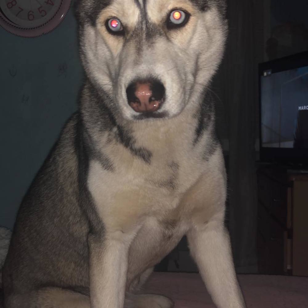 Meet your Posher, Emelyn